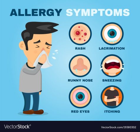 Allergy symptoms problem infographic. Vector flat cartoon illustration icon design. Sneezing person man character.