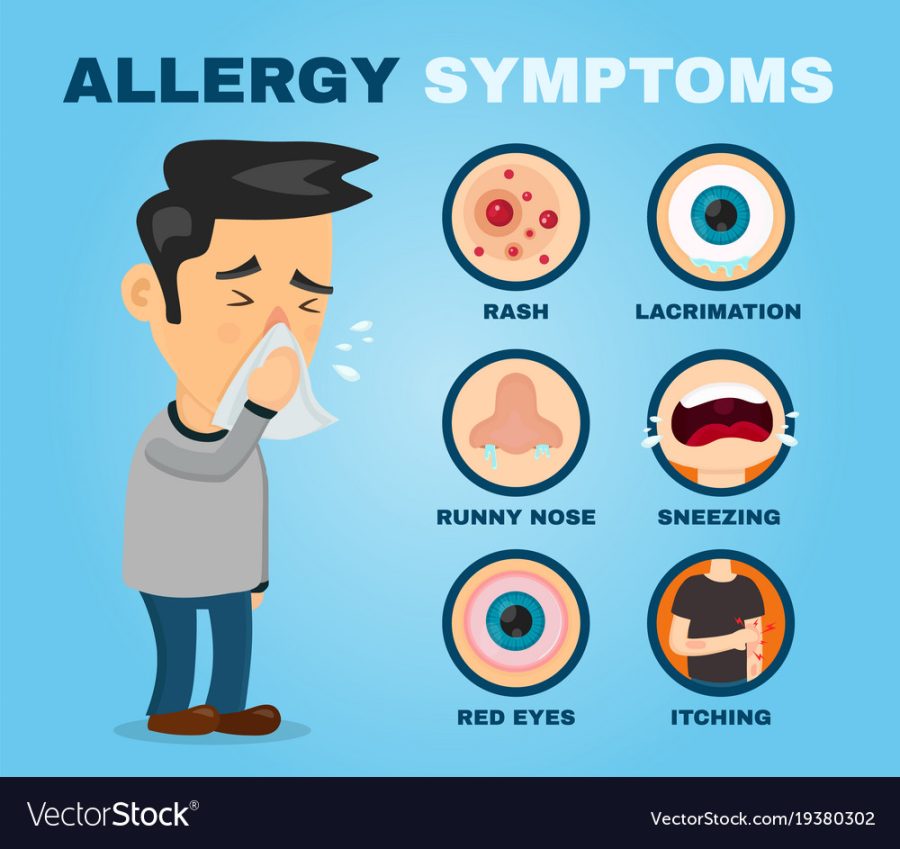 Allergy+symptoms+problem+infographic.+Vector+flat+cartoon+illustration+icon+design.+Sneezing+person+man+character.