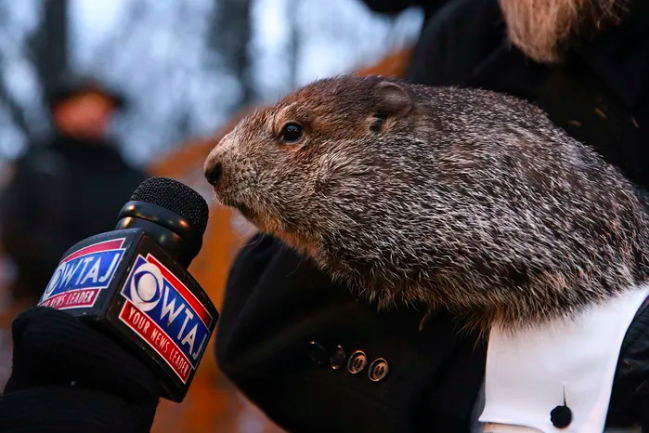 Punxsutawney Phil has been accurate 40% of the time over the last 10 years.