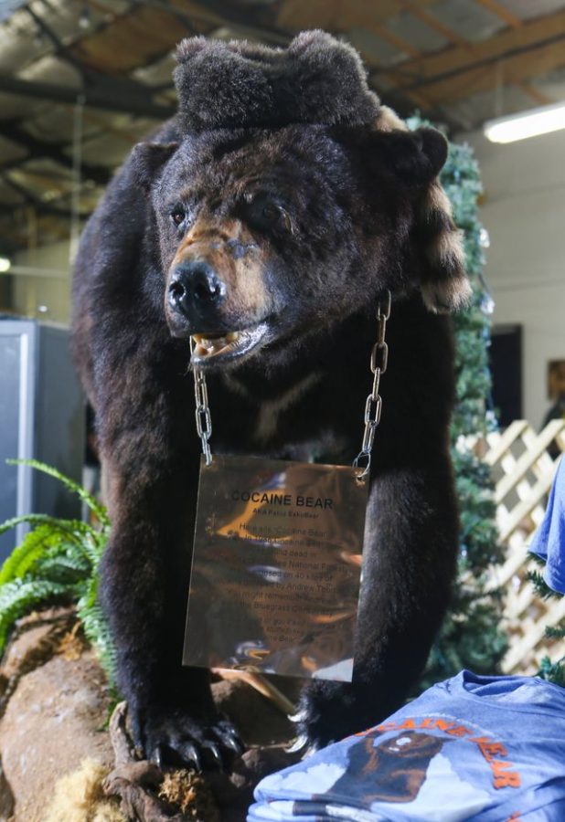 “Cocaine Bear” has earned $23.1 million so far. 